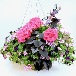 Hanging Basket or Patio Pot from Hafner Florist in Sylvania, OH
