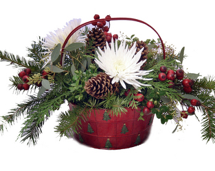 Holiday Pine Tree Basket from Hafner Florist in Sylvania, OH