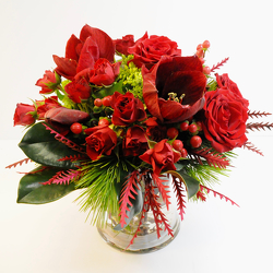 Red Roses and Amaryllis from Hafner Florist in Sylvania, OH