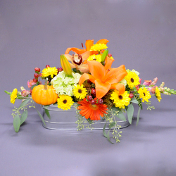 Warm Fall Wishes from Hafner Florist in Sylvania, OH