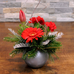 A Little Christmas from Hafner Florist in Sylvania, OH