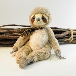 Speedy the Sloth from Hafner Florist in Sylvania, OH