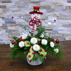 Frosty from Hafner Florist in Sylvania, OH