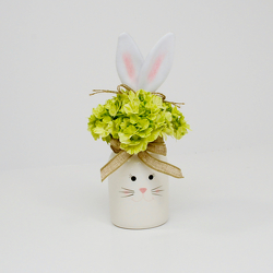 Easter Bunny from Hafner Florist in Sylvania, OH