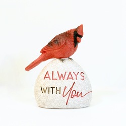 Always With You from Hafner Florist in Sylvania, OH