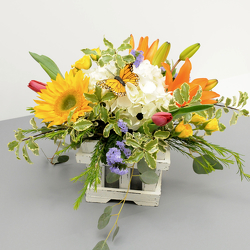 Country Sunshine from Hafner Florist in Sylvania, OH