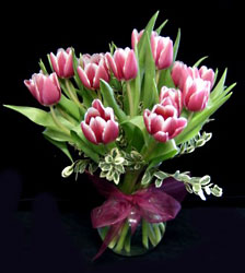 Hafner's Tulip Special from Hafner Florist in Sylvania, OH