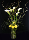 /images/HF1122lg.jpg Calla Lilies and Roses