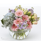 /images/HFMD13-1lg.jpg Gretchen's Garden