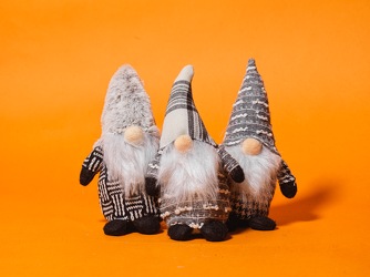 Assorted Miniature Grey Gnomes from Hafner Florist in Sylvania, OH