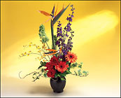 /images/LF10-4lg.jpg Tropical Fantasy