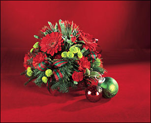 Christmas Wish from Hafner Florist in Sylvania, OH
