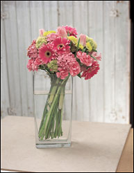 Pink Splendor  from Hafner Florist in Sylvania, OH