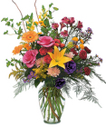 /images/MD112-MothersJoy-Whitelg.jpg Mother's Joy
