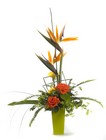 /images/hf200726lg.jpg Tropical Getaway