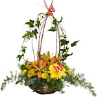 /images/hf2007f1lg.jpg Flutterby Basket