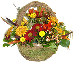 Autumnal Delight from Hafner Florist in Sylvania, OH