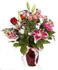 /images/hfv200806lg.jpg Pink Sherbet