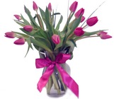 /images/hfv200823lg.jpg Totally Tulips