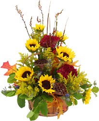 Sunflower Sunshine  from Hafner Florist in Sylvania, OH