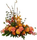 /images/ifa/43lg.jpg Fruity Style