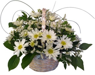 Make Someone's DAY-isy! from Hafner Florist in Sylvania, OH