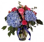 /images/ifa/ifam055lg.jpg Cool Blue