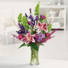 /images/jheveryday/EV003-11lg.jpg Stargazer Garden
