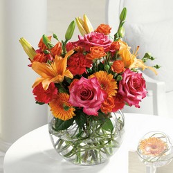 Contemporary Collection from Hafner Florist in Sylvania, OH