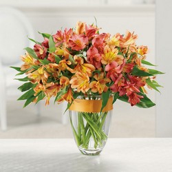 Awesome Alstroemeria  from Hafner Florist in Sylvania, OH