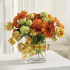 /images/jheveryday/EV052-11lg.jpg Orange Burst