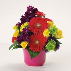 Bowl of Brights from Hafner Florist in Sylvania, OH