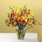 /images/jhwedding/WFC38-21lg.jpg Peach Sunset