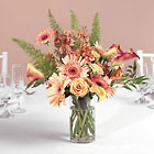 /images/jhwedding/pic340lg.jpg Garden Gerberas