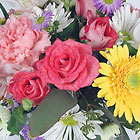 /images/media99/m08-004lg.jpg Assorted Outdoor Plants