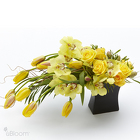 /images/uBloom-AmberWaves-Wlg.jpg Amber Waves
