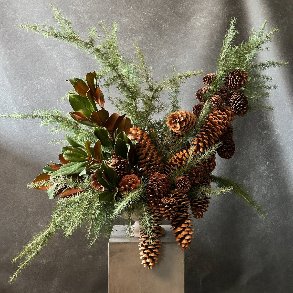 Pinecones, magnolia leaves and evergreen branches arranged against a gray backdrop.