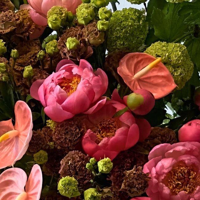 Designer's Choice - Classic