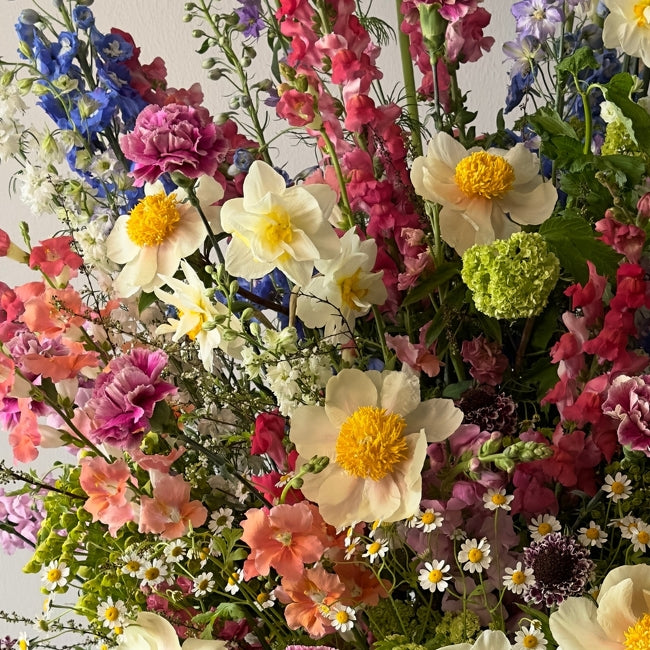 Designer's Choice - Luxe