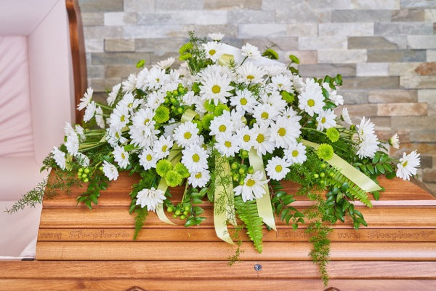 White daisies with green centers, rounded green flowers, green berries, ferns, and pale green ribbon arranged across a wooden casket.