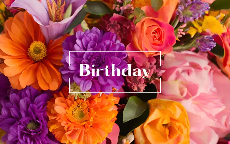 Birthday Flowers from Hafner Florist