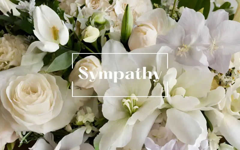 Sympathy Flowers from Hafner Florist