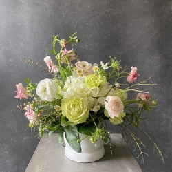 Aria from Hafner Florist in Sylvania, OH