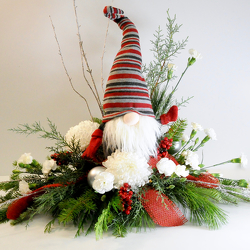 I'll be Gnome for Christmas from Hafner Florist in Sylvania, OH