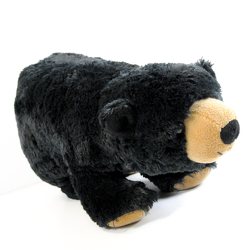 Griffin the Black Bear from Hafner Florist in Sylvania, OH