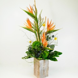 Birds of Paradise from Hafner Florist in Sylvania, OH