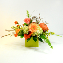 Happy Fall from Hafner Florist in Sylvania, OH
