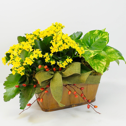 Fall Garden from Hafner Florist in Sylvania, OH