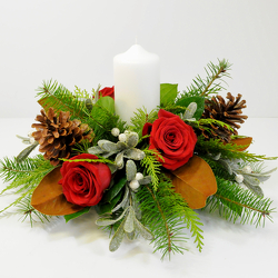 Yule Tidings from Hafner Florist in Sylvania, OH