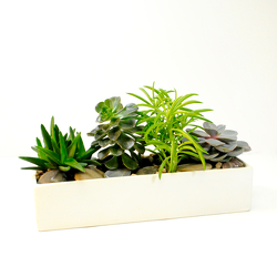 Large Succulent Planter from Hafner Florist in Sylvania, OH